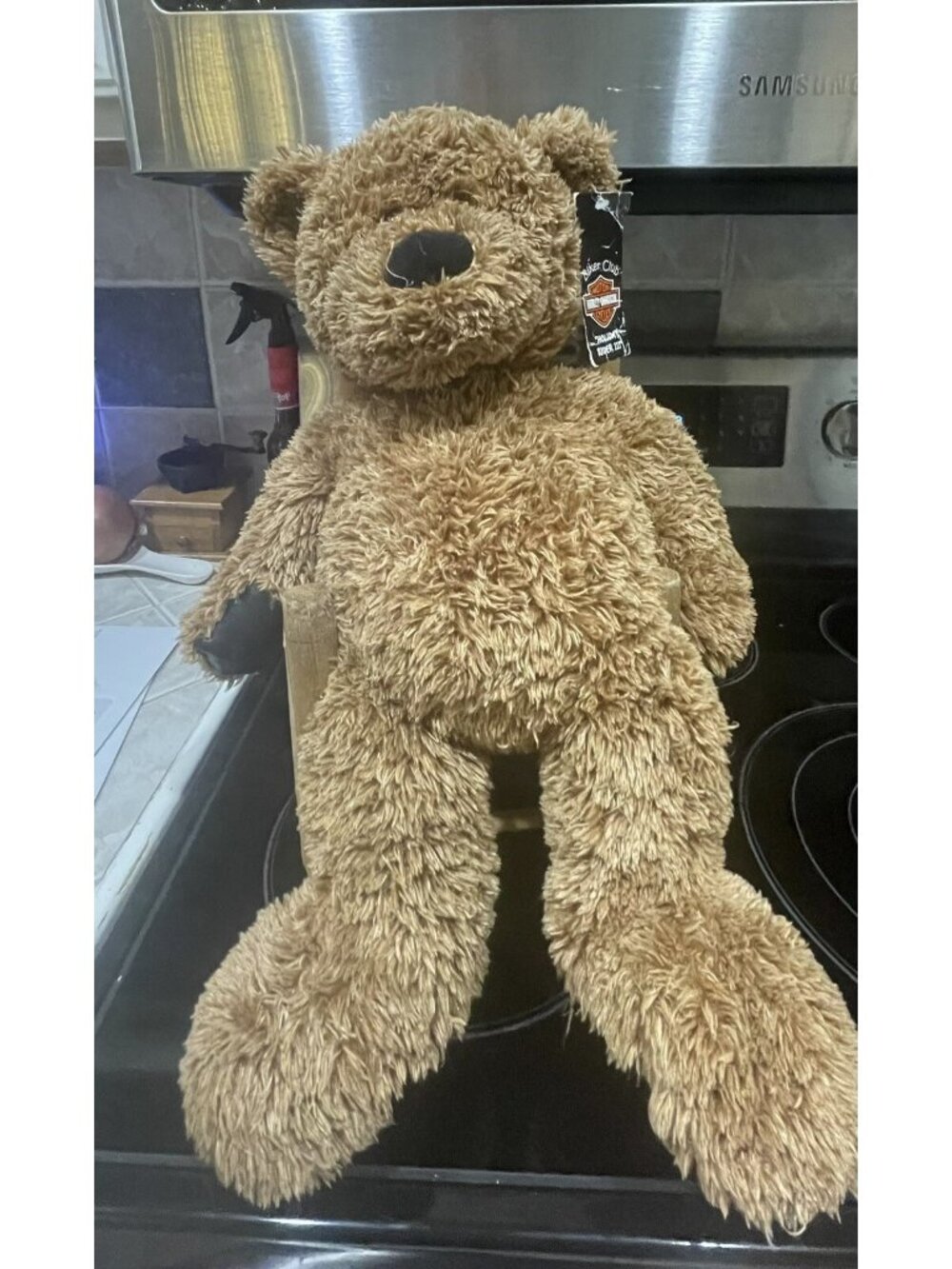 Christmas-2005-Harley Davidson Motorcycles Teddy Bear Plush Holding-with Rocker